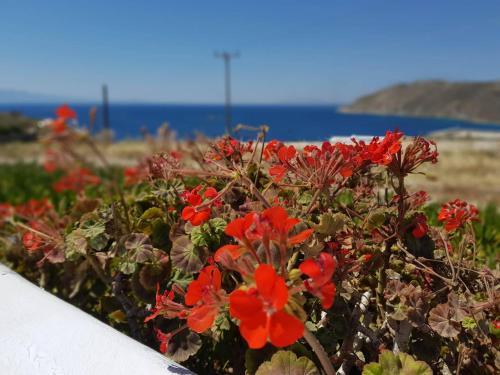 Amazing 4 Bdr Villa - Panoramic Sea View In Mykonos