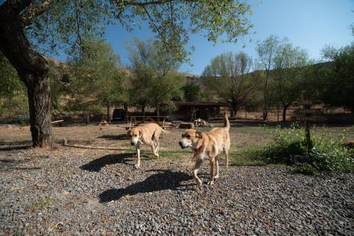 Hotel Orias Guesthouse & Farm
