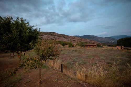 Hotel Orias Guesthouse & Farm
