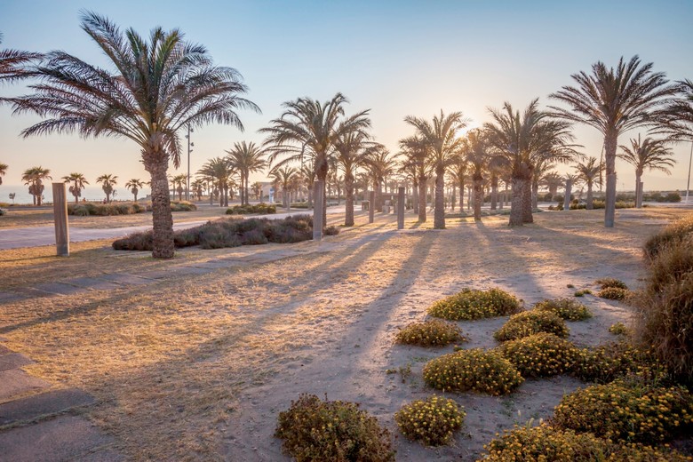 Hotel Barcel� Cabo De Gata