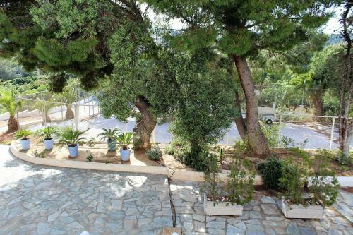 Villa Azure Sunrise 40m. From The Sandy Beach.