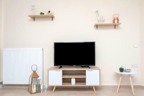 Comfortable Apartment
