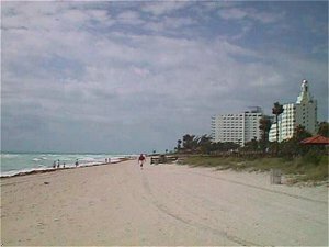 Venezia Hotel Miami
