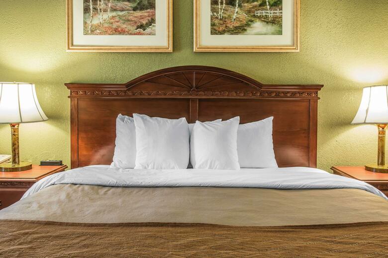 Hotel Comfort Inn & Suites Ann Arbor