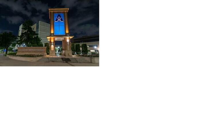 Hotel Courtyard Dallas Arlington/entertainment District