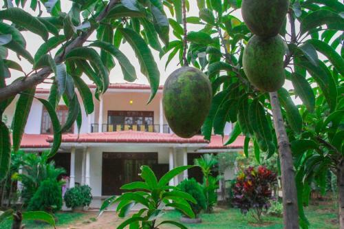 Hostal Sigiriya Prince Villa