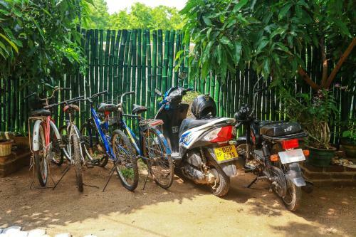 Sarath Home Stay And Safari