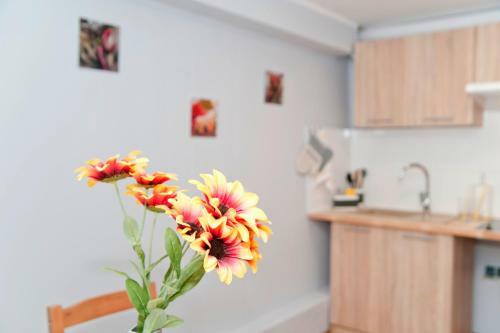 Albergue Grey House