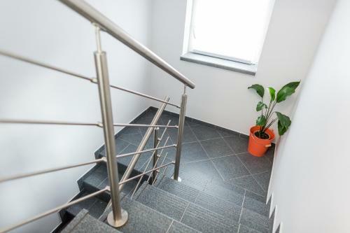 Albergue Grey House