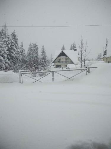 Hostal Cicha Dolinka