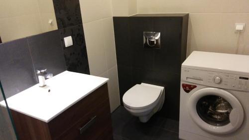 Apartament M?y?ska