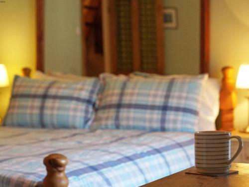 Holiday Home Uwch Y Dyfi