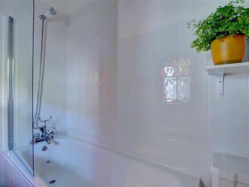 Delightful Holiday Home In Appledore With Garden