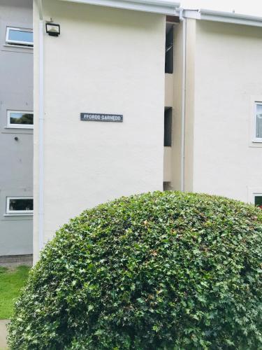 Marina Apartment, Y Felinheli