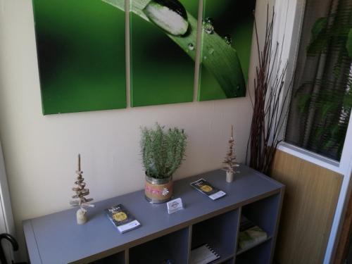 Driftwood B&B Weymouth