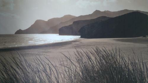 Driftwood B&B Weymouth
