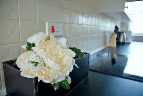 Airport/university Luxury Apartment 1