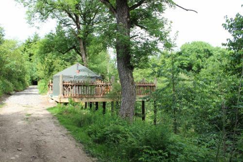 Llethrau Forest & Nature Retreats