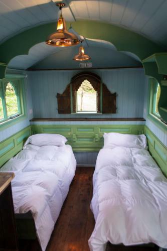 Llethrau Forest & Nature Retreats