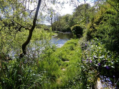 Bed & Breakfast Teifi Riverbank At Glas Y Dorlan