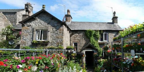 Hostal Seed Hill Guest House