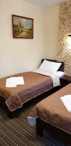 Hotel Grofa Vas