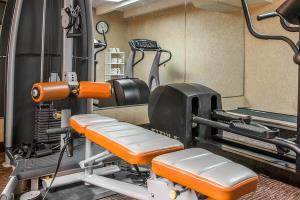 Hotel Comfort Inn Battle Creek