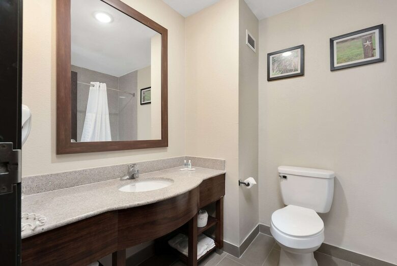 Hotel Comfort Suites University