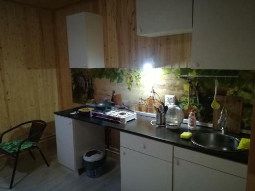 Hostal Guest House V Gorelovo 2