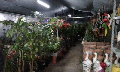 Posada R�o Tala