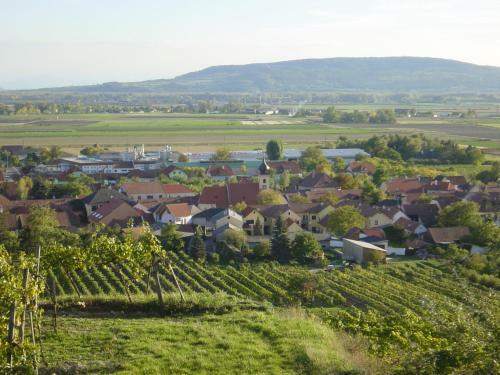 Bed & Breakfast Weingut Und G�stehaus Berger