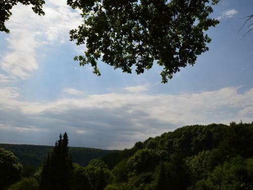 Cozy Holiday Home In Eifel With Sauna