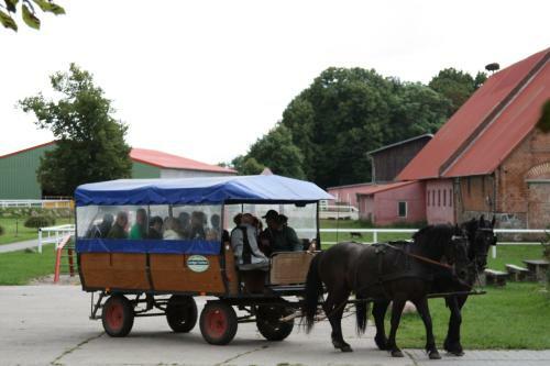 Bed & Breakfast G�stehaus Landgut Lischow