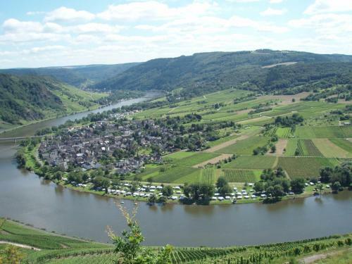 Luxurious Apartment In Kinheim In Idyllic Vineyards