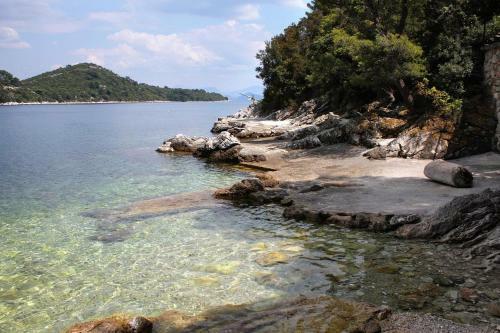 Apartments By The Sea Sobra (Mljet) - 15993