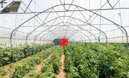 Agroturismo Farm Stay Orlov Put