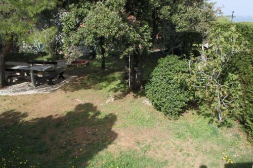 Apartments With A Parking Space Zdrelac (pasman) - 8514