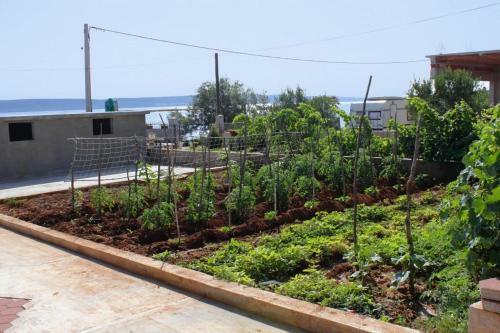 Apartment Banj 8242a