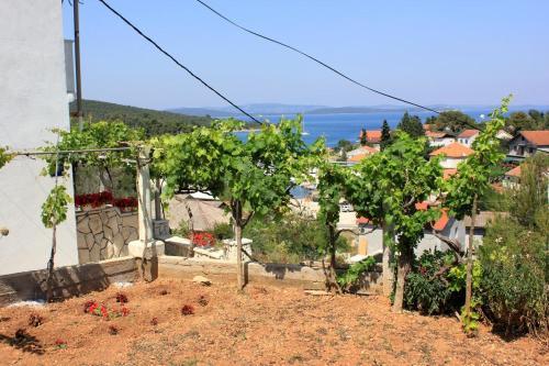 Holiday Apartments Zman (dugi Otok) - 887
