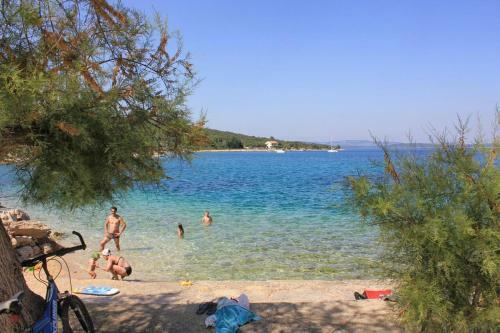 Apartments With A Parking Space Zman (dugi Otok) - 449