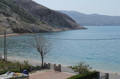 Apartments By The Sea Metajna (Pag) - 6466