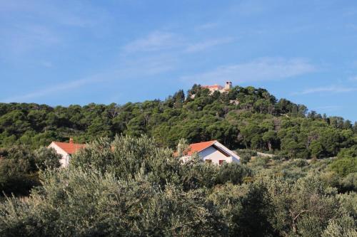 Apartments By The Sea Tkon (pasman) - 5825