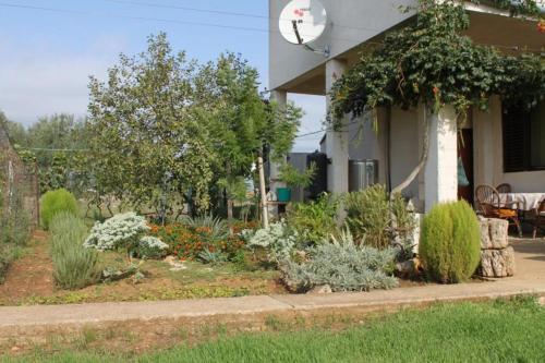 Apartments With A Parking Space Tkon (pasman) - 4307