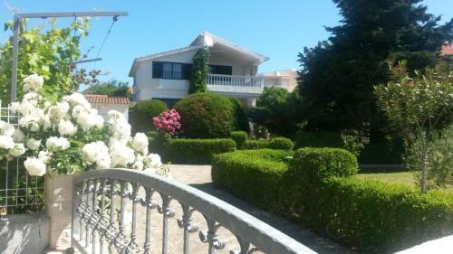 Apartment Mb