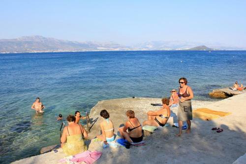 Apartment Slatine 972b