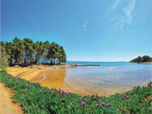 Apartment Straza Croatia