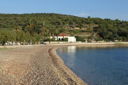 Luxury Villa With A Swimming Pool Vis - 8922
