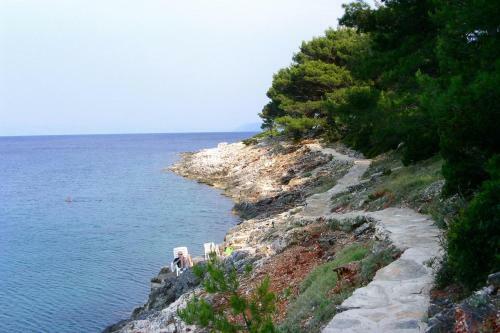 Apartments By The Sea Mudri Dolac (hvar) - 595