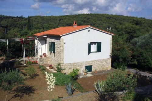 Seaside Holiday House Postira (brac) - 13001