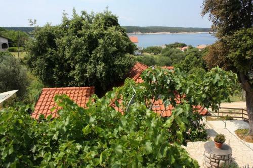 Apartment Supetarska Draga - Gonar 4999b